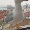 https://cdn-ostrovok-ru-ion.test.edgekey.net/t/100x100/hotel_review/bf/d7/bfd75fa5ce372e0868db535f45533a72417ebf22.JPEG