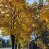 https://cdn-ostrovok-ru-ion.test.edgekey.net/t/100x100/hotel_review/c0/0b/c00b2ce9d234be7bbae940cd5fcdb9567db3de37.JPEG