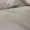 https://cdn-ostrovok-ru-ion.test.edgekey.net/t/100x100/hotel_review/c0/1c/c01c59ec2fdc07bb60dfc5d12b567fa0f2fc8c04.jpeg