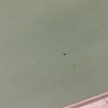 https://cdn-ostrovok-ru-ion.test.edgekey.net/t/100x100/hotel_review/c0/49/c049badde7e16e771aecdfd9f0a85c58b587f85c.JPEG