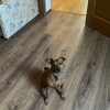 https://cdn-ostrovok-ru-ion.test.edgekey.net/t/100x100/hotel_review/c0/5e/c05e5816b7bf1965d0deec124a6d9cba0ad8a0b8.JPEG