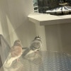https://cdn-ostrovok-ru-ion.test.edgekey.net/t/100x100/hotel_review/c0/94/c094913a30896021fb36878ed0cf8a1e83fc832c.JPEG