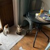https://cdn-ostrovok-ru-ion.test.edgekey.net/t/100x100/hotel_review/c0/bb/c0bb5374915b40832a3db5883b7be02a85968da3.JPEG
