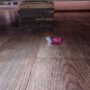 https://cdn-ostrovok-ru-ion.test.edgekey.net/t/100x100/hotel_review/c0/c0/c0c02feec29315d9af7c51f8564cc36311ee0805.jpeg