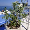 https://cdn-ostrovok-ru-ion.test.edgekey.net/t/100x100/hotel_review/c0/c5/c0c5019a9129a9ad2dcd34f92812f5f63d304b90.JPEG