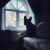https://cdn-ostrovok-ru-ion.test.edgekey.net/t/100x100/hotel_review/c1/a2/c1a2dd5ee36e30b159f3e95b9eee52e31430bee5.jpeg