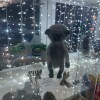 https://cdn-ostrovok-ru-ion.test.edgekey.net/t/100x100/hotel_review/c1/a7/c1a704441f58030a7031a3dc1fa634c7532e0a1b.JPEG