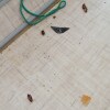 https://cdn-ostrovok-ru-ion.test.edgekey.net/t/100x100/hotel_review/c1/cd/c1cd75881ddcc457994dd19d961b223f506390fa.JPEG