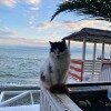 https://cdn-ostrovok-ru-ion.test.edgekey.net/t/100x100/hotel_review/c1/cd/c1cde29b4fde6807a5131911b0c1853f865995e8.jpeg