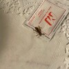 https://cdn-ostrovok-ru-ion.test.edgekey.net/t/100x100/hotel_review/c2/64/c2641c2ed92408462ebf80d9827bd3f8fc971281.jpeg