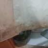 https://cdn-ostrovok-ru-ion.test.edgekey.net/t/100x100/hotel_review/c2/94/c29404f3ecf498f4ab2287899ab85537c2f46075.JPEG
