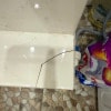 https://cdn-ostrovok-ru-ion.test.edgekey.net/t/100x100/hotel_review/c2/9d/c29d27b76c3e836fc45ce52da177c9ba856e8e4a.JPEG