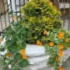 https://cdn-ostrovok-ru-ion.test.edgekey.net/t/100x100/hotel_review/c2/a8/c2a8076241fb9f1ea23b4f611a48ca68b9006227.JPEG