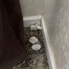 https://cdn-ostrovok-ru-ion.test.edgekey.net/t/100x100/hotel_review/c2/b0/c2b02ed3b4a0e930f590c588be1948754de804d6.JPEG