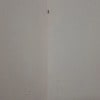 https://cdn-ostrovok-ru-ion.test.edgekey.net/t/100x100/hotel_review/c2/b7/c2b79f347a3838b9d38e5b12e5c07a52385b4c57.jpeg