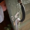https://cdn-ostrovok-ru-ion.test.edgekey.net/t/100x100/hotel_review/c2/be/c2be2743ecb968379f3a2052fc5e1df5335d1536.JPEG