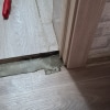 https://cdn-ostrovok-ru-ion.test.edgekey.net/t/100x100/hotel_review/c3/12/c312b5d0c246eb2a7f8f3d428b497a1f734f3788.JPEG