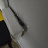 https://cdn-ostrovok-ru-ion.test.edgekey.net/t/100x100/hotel_review/c3/19/c31985df769a68004914f5f575c5d4ab8b3d5649.JPEG