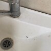 https://cdn-ostrovok-ru-ion.test.edgekey.net/t/100x100/hotel_review/c3/1d/c31d9a8f6770ca0e514a97c0a92ef042a0d90edd.JPEG