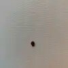https://cdn-ostrovok-ru-ion.test.edgekey.net/t/100x100/hotel_review/c3/70/c370fc2eccde45cb59c20329ed408f0ba6bcb748.JPEG