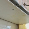 https://cdn-ostrovok-ru-ion.test.edgekey.net/t/100x100/hotel_review/c3/9e/c39e701e069c2487711bad218b708353991b9b77.JPEG