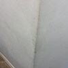 https://cdn-ostrovok-ru-ion.test.edgekey.net/t/100x100/hotel_review/c3/b7/c3b774f855eb3cf61365cca0b4b8636bfe69f2b3.JPEG