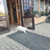 https://cdn-ostrovok-ru-ion.test.edgekey.net/t/100x100/hotel_review/c3/c7/c3c76650e85b7fd40dff7f644bae642efb665675.JPEG