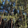 https://cdn-ostrovok-ru-ion.test.edgekey.net/t/100x100/hotel_review/c4/04/c4042f20144042b21e55b96a4fa2361c75849444.JPEG