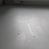 https://cdn-ostrovok-ru-ion.test.edgekey.net/t/100x100/hotel_review/c4/3d/c43dc81d180e9b3eb5d8d1a539cc8d963f6434a4.JPEG