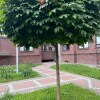 https://cdn-ostrovok-ru-ion.test.edgekey.net/t/100x100/hotel_review/c4/6d/c46d7036227067905ca2b54183427dfbec8c09fd.JPEG