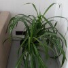 https://cdn-ostrovok-ru-ion.test.edgekey.net/t/100x100/hotel_review/c4/88/c48863b76607f9a427b21f902a4625cb1c026913.JPEG