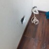 https://cdn-ostrovok-ru-ion.test.edgekey.net/t/100x100/hotel_review/c4/92/c492b40435256983872c88c86135d91fc7e5145c.JPEG