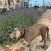 https://cdn-ostrovok-ru-ion.test.edgekey.net/t/100x100/hotel_review/c4/a6/c4a6c7f8f657984f36d144828dfdeac20dbf2dd6.png