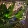 https://cdn-ostrovok-ru-ion.test.edgekey.net/t/100x100/hotel_review/c4/b6/c4b6505fb0a388d6b409774f2440aa479bd4c26f.png