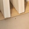 https://cdn-ostrovok-ru-ion.test.edgekey.net/t/100x100/hotel_review/c4/df/c4df96731eb86cb4dc888d6fc582d1c300069edd.JPEG