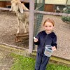 https://cdn-ostrovok-ru-ion.test.edgekey.net/t/100x100/hotel_review/c4/ff/c4ff225543d823810b7f28d604a716ac80c3cb5c.JPEG