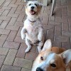https://cdn-ostrovok-ru-ion.test.edgekey.net/t/100x100/hotel_review/c5/26/c526fd82d8851cb48382563f97de942c3b46e2ec.JPEG