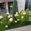 https://cdn-ostrovok-ru-ion.test.edgekey.net/t/100x100/hotel_review/c5/2c/c52cb68d236a41b95079f7d39ab8da49258bb29a.JPEG