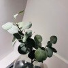 https://cdn-ostrovok-ru-ion.test.edgekey.net/t/100x100/hotel_review/c5/30/c530d0e070e5e4f885293bd7bc3144b0e55b88d6.jpeg