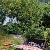 https://cdn-ostrovok-ru-ion.test.edgekey.net/t/100x100/hotel_review/c5/38/c53831495ff43ea5818b39e56fcc9583a213cff7.JPEG