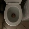https://cdn-ostrovok-ru-ion.test.edgekey.net/t/100x100/hotel_review/c5/6c/c56cf705c6b0a6c33e91ca03dc77f66303b5a97c.jpeg