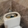 https://cdn-ostrovok-ru-ion.test.edgekey.net/t/100x100/hotel_review/c5/f6/c5f6e2393e1ba394ea439b46af7b974e8a5fbe08.JPEG