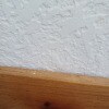 https://cdn-ostrovok-ru-ion.test.edgekey.net/t/100x100/hotel_review/c6/38/c63867affff094e275fdc5bee49178631511d005.JPEG