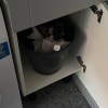 https://cdn-ostrovok-ru-ion.test.edgekey.net/t/100x100/hotel_review/c6/45/c6454595c173d5a35ce5474b291776cfc6688434.JPEG