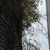 https://cdn-ostrovok-ru-ion.test.edgekey.net/t/100x100/hotel_review/c6/4b/c64b3e784bfa35137dfb912b57487eb5c3ff5a0e.JPEG
