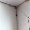 https://cdn-ostrovok-ru-ion.test.edgekey.net/t/100x100/hotel_review/c6/55/c655fcbd3ac1a8ba90c9f362157365c9ba7568ce.JPEG