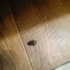 https://cdn-ostrovok-ru-ion.test.edgekey.net/t/100x100/hotel_review/c6/60/c660bf2a251f9403e35ccdd34599b304de0cde8b.JPEG