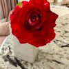 https://cdn-ostrovok-ru-ion.test.edgekey.net/t/100x100/hotel_review/c6/ac/c6ac1f4e55e3c7afb81b26c8dbf8e8c7492e4423.JPEG