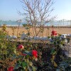https://cdn-ostrovok-ru-ion.test.edgekey.net/t/100x100/hotel_review/c6/b0/c6b0cccd9aefbcc10b5e4f5f2e8e780e31864c98.jpeg
