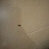 https://cdn-ostrovok-ru-ion.test.edgekey.net/t/100x100/hotel_review/c6/b8/c6b826256d6c26d6edeb60ca718738e3fce325a1.JPEG